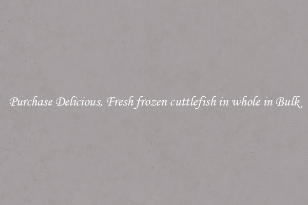 Purchase Delicious, Fresh frozen cuttlefish in whole in Bulk