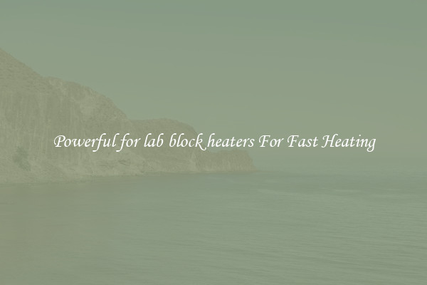 Powerful for lab block heaters For Fast Heating