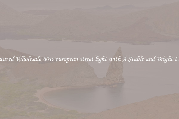 Featured Wholesale 60w european street light with A Stable and Bright Light