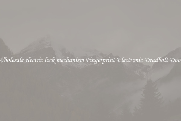 Wholesale electric lock mechanism Fingerprint Electronic Deadbolt Door 