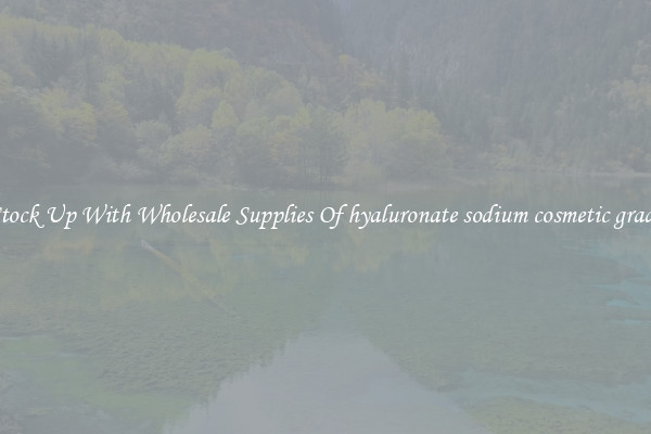 Stock Up With Wholesale Supplies Of hyaluronate sodium cosmetic grade