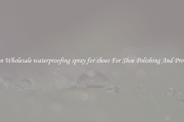 Buy An Wholesale waterproofing spray for shoes For Shoe Polishing And Protection