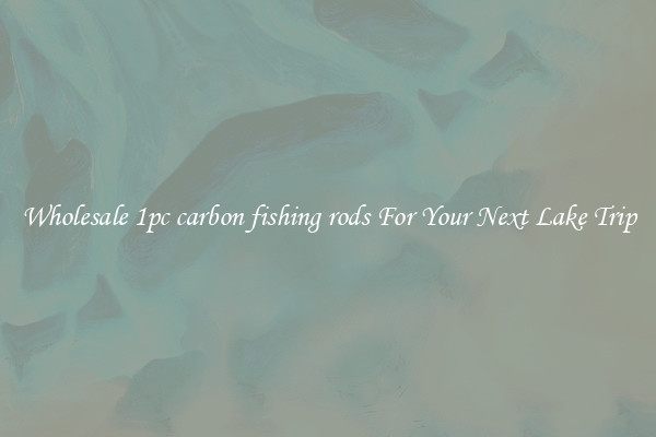 Wholesale 1pc carbon fishing rods For Your Next Lake Trip