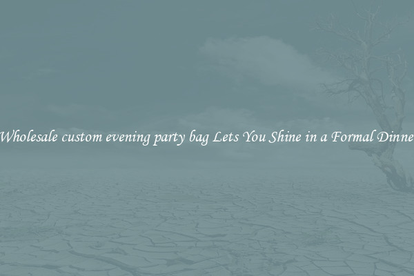 Wholesale custom evening party bag Lets You Shine in a Formal Dinner