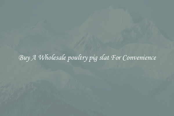 Buy A Wholesale poultry pig slat For Convenience