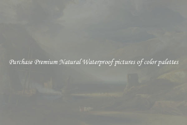 Purchase Premium Natural Waterproof pictures of color palettes