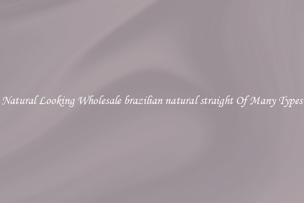 Natural Looking Wholesale brazilian natural straight Of Many Types
