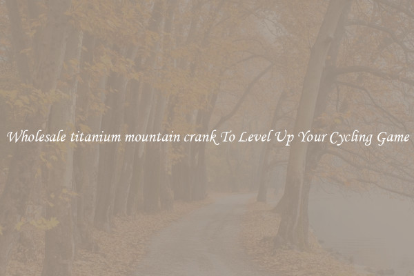 Wholesale titanium mountain crank To Level Up Your Cycling Game