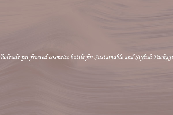 Wholesale pet frosted cosmetic bottle for Sustainable and Stylish Packaging