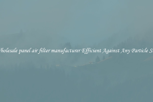 Wholesale panel air filter manufacturer Efficient Against Any Particle Size