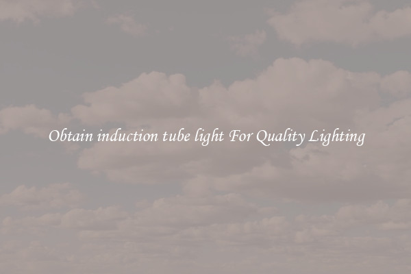 Obtain induction tube light For Quality Lighting