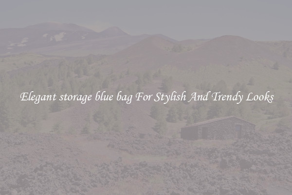 Elegant storage blue bag For Stylish And Trendy Looks