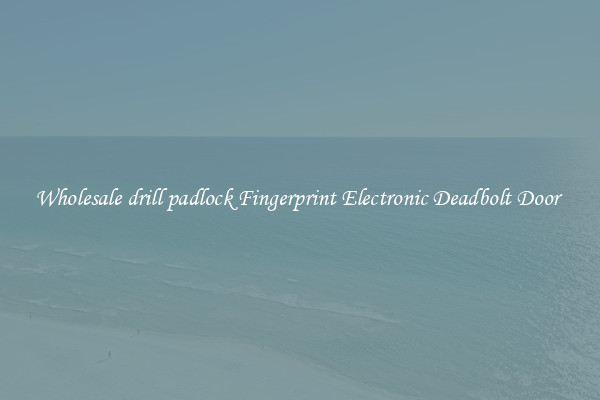 Wholesale drill padlock Fingerprint Electronic Deadbolt Door 