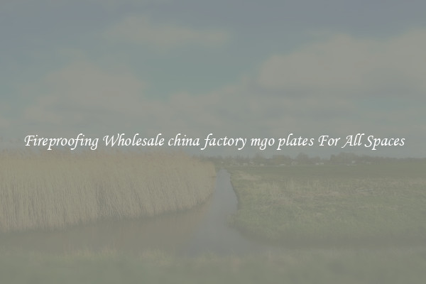 Fireproofing Wholesale china factory mgo plates For All Spaces