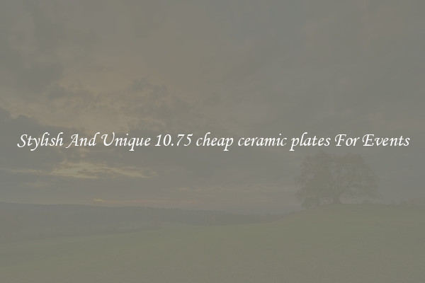 Stylish And Unique 10.75 cheap ceramic plates For Events