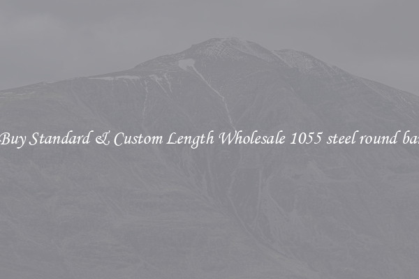 Buy Standard & Custom Length Wholesale 1055 steel round bar