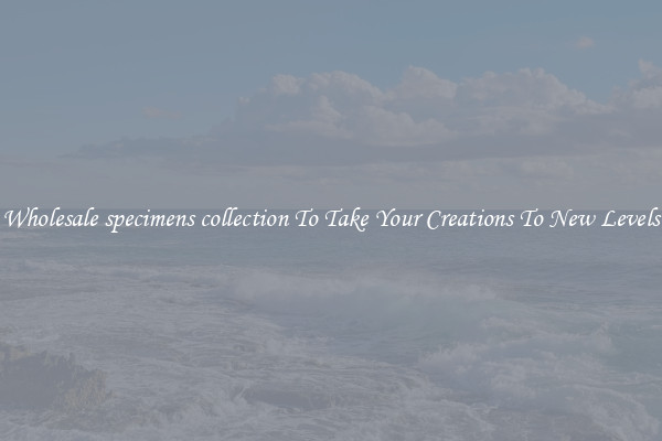 Wholesale specimens collection To Take Your Creations To New Levels