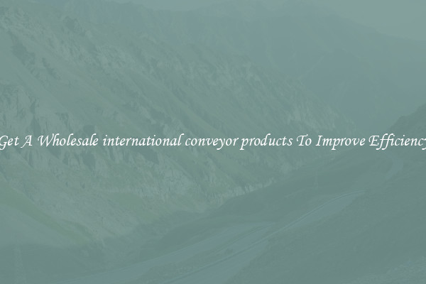 Get A Wholesale international conveyor products To Improve Efficiency