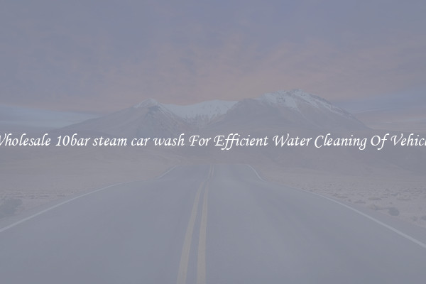 Wholesale 10bar steam car wash For Efficient Water Cleaning Of Vehicles