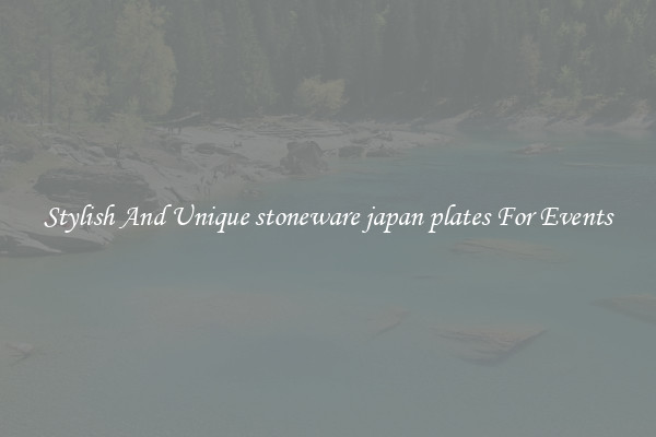 Stylish And Unique stoneware japan plates For Events