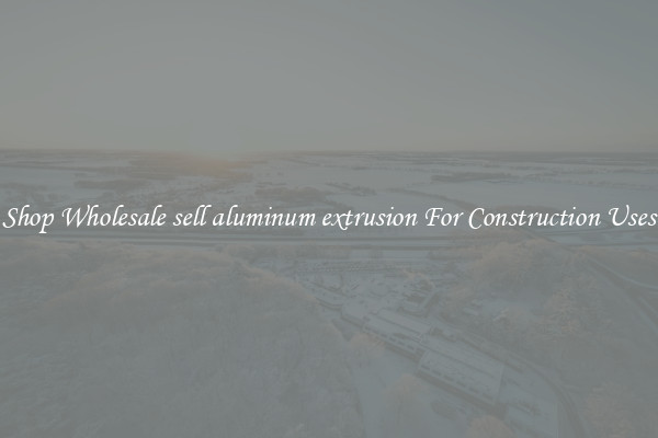 Shop Wholesale sell aluminum extrusion For Construction Uses