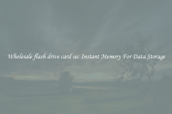 Wholesale flash drive card sec Instant Memory For Data Storage